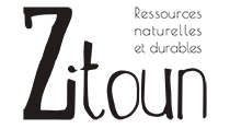 Logo Zitoun's